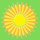 sun banner