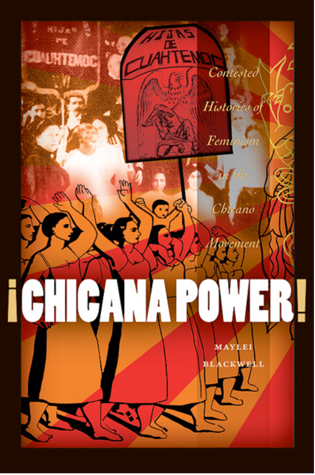 Chicana Power book cover image