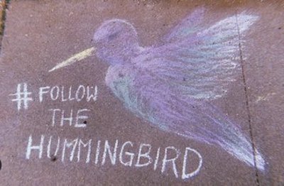thehummingbird.jpeg